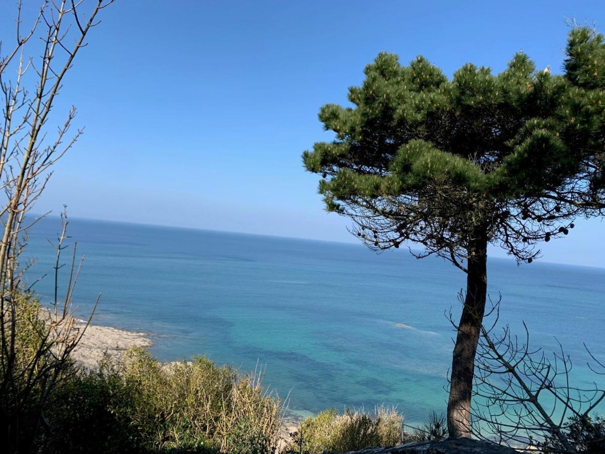 Appartement Villa Chausey, Vue Sur Le Port Granville Bagian luar foto